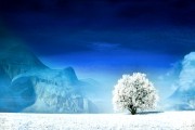 世界体操单项赛裁判培训视频公开免费观摩，世界体操2021